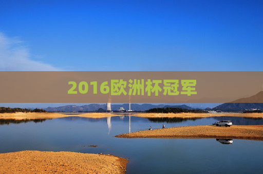 2016欧洲杯冠军