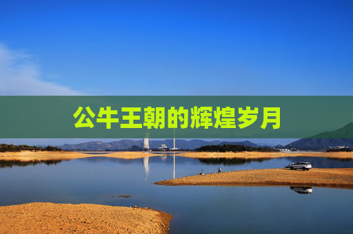 公牛王朝的辉煌岁月 公牛王朝的辉煌岁月