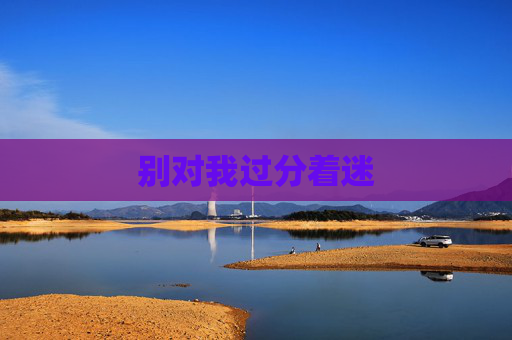 别对我过分着迷