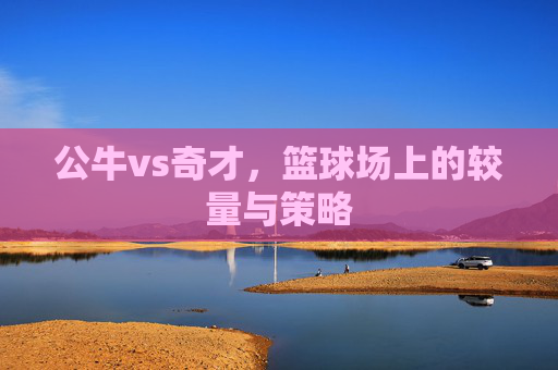 公牛vs奇才，篮球场上的较量与策略