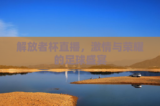 解放者杯直播，激情与荣耀的足球盛宴