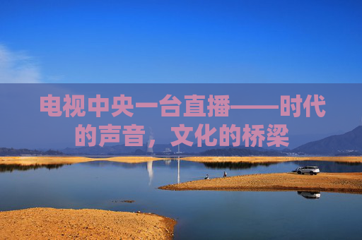电视中央一台直播——时代的声音，文化的桥梁