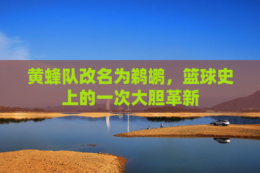 黄蜂队改名为鹈鹕，篮球史上的一次大胆革新