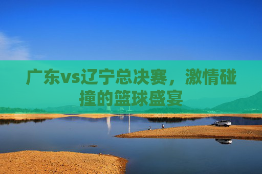 广东vs辽宁总决赛，激情碰撞的篮球盛宴