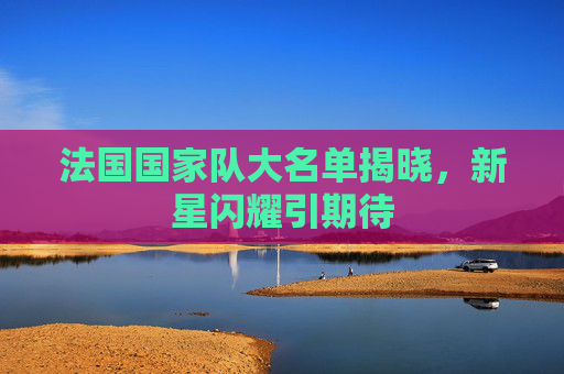 法国国家队大名单揭晓，新星闪耀引期待