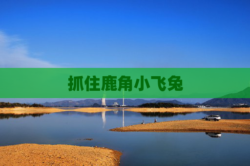 抓住鹿角小飞兔