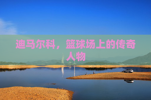 迪马尔科，篮球场上的传奇人物