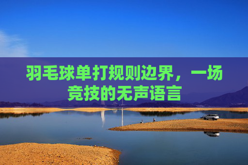 羽毛球单打规则边界，一场竞技的无声语言