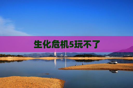 生化危机5玩不了