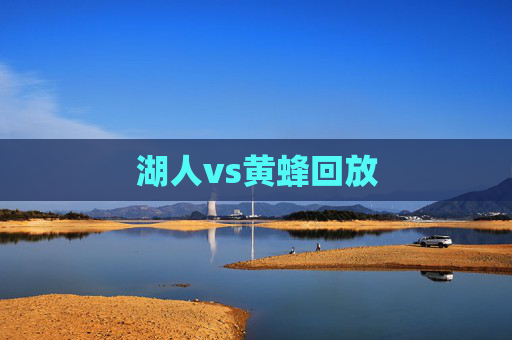 湖人vs黄蜂回放