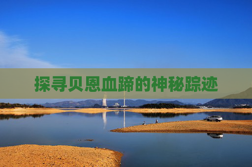 探寻贝恩血蹄的神秘踪迹