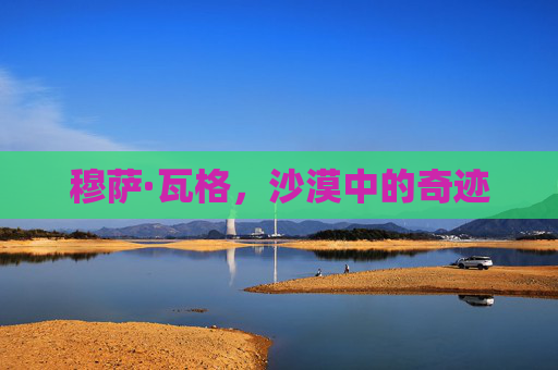 穆萨·瓦格,沙漠中的奇迹 穆萨·瓦格,沙漠中的奇迹