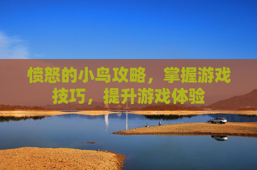 愤怒的小鸟攻略，掌握游戏技巧，提升游戏体验