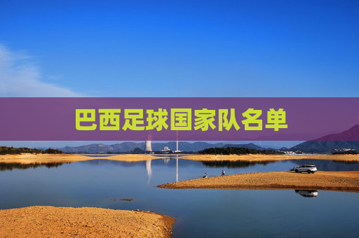 巴西足球国家队名单 巴西足球国家队名单