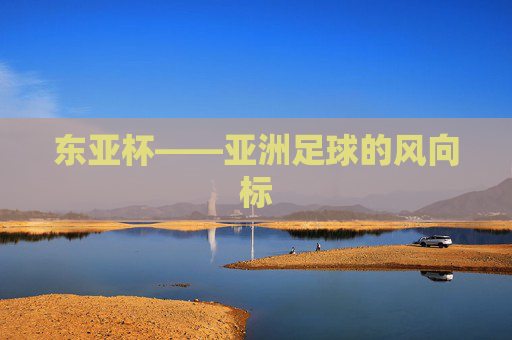 东亚杯——亚洲足球的风向标