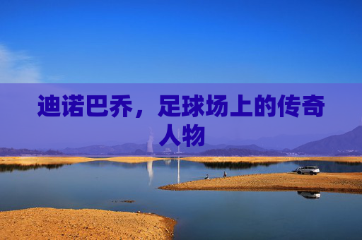 迪诺巴乔，足球场上的传奇人物