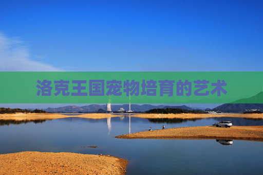 洛克王国宠物培育的艺术