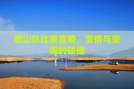 泰山队比赛直播，激情与荣耀的碰撞