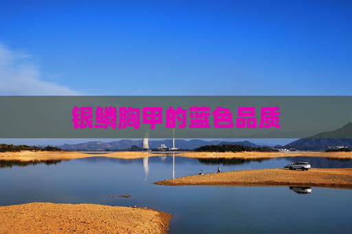 银鳞胸甲的蓝色品质