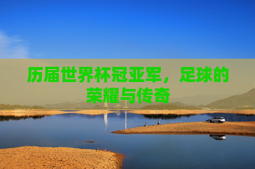 历届世界杯冠亚军，足球的荣耀与传奇