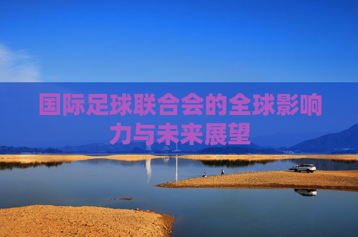 国际足球联合会的全球影响力与未来展望