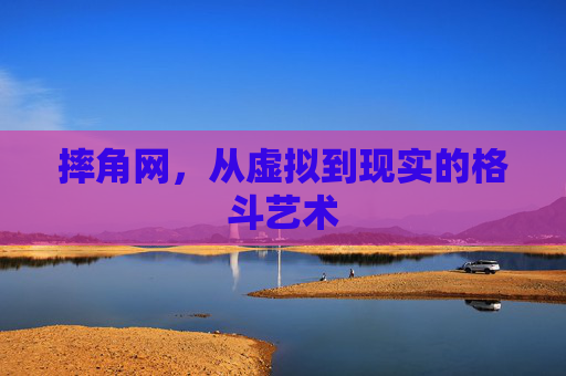 摔角网，从虚拟到现实的格斗艺术