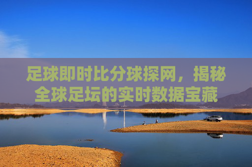 足球即时比分球探网，揭秘全球足坛的实时数据宝藏