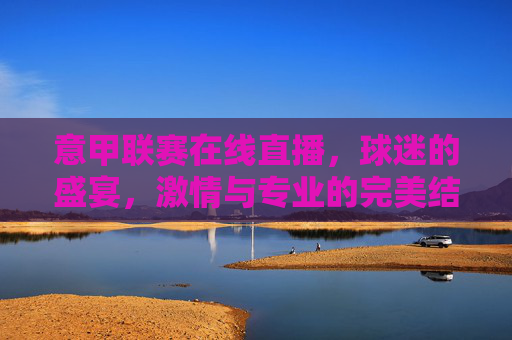 意甲联赛在线直播，球迷的盛宴，激情与专业的完美结合