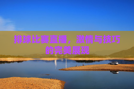 排球比赛直播,激情与技巧的完美展现 排球比赛直播,激情与技巧的完美展现