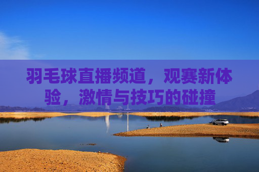 羽毛球直播频道，观赛新体验，激情与技巧的碰撞