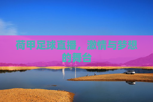 荷甲足球直播，激情与梦想的舞台