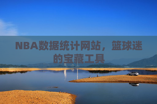 NBA数据统计网站，篮球迷的宝藏工具