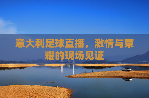 意大利足球直播，激情与荣耀的现场见证