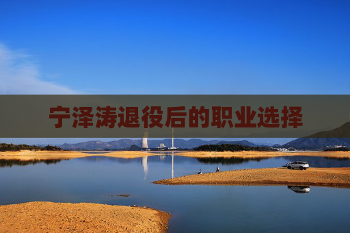 宁泽涛退役后的职业选择