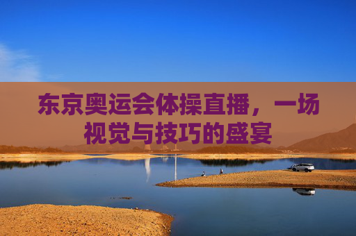 东京奥运会体操直播，一场视觉与技巧的盛宴