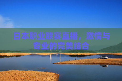 日本职业联赛直播,激情与专业的完美结合 日本职业联赛直播,激情与专业的完美结合
