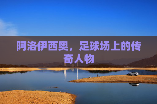 阿洛伊西奥,足球场上的传奇人物 阿洛伊西奥,足球场上的传奇人物