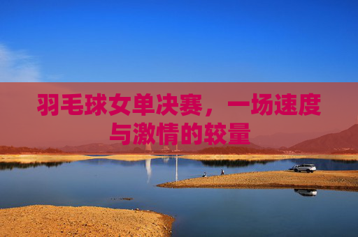羽毛球女单决赛,一场速度与激情的较量 羽毛球女单决赛,一场速度与激情的较量