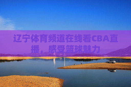 辽宁体育频道在线看CBA直播,感受篮球魅力 辽宁体育频道在线看CBA直播,感受篮球魅力