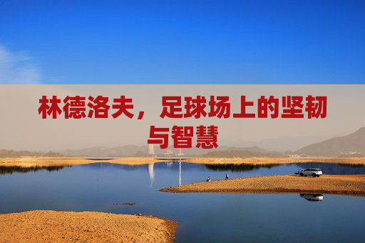 林德洛夫，足球场上的坚韧与智慧