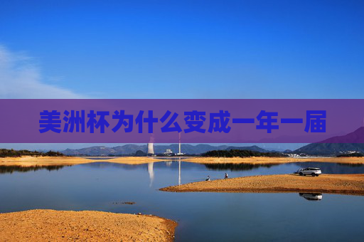 美洲杯为什么变成一年一届
