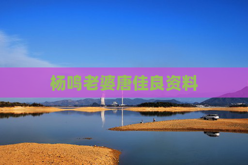 杨鸣老婆唐佳良资料