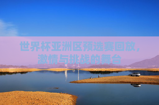 世界杯亚洲区预选赛回放，激情与挑战的舞台