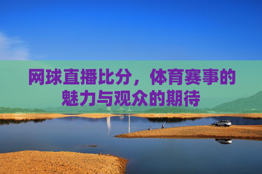 网球直播比分，体育赛事的魅力与观众的期待