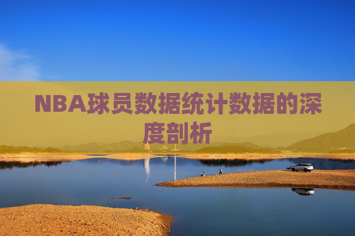 NBA球员数据统计数据的深度剖析 NBA球员数据统计数据的深度剖析