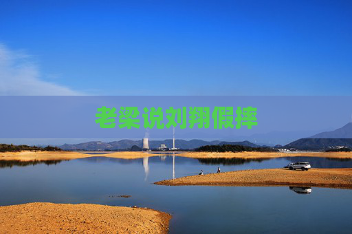 老梁说刘翔假摔 老梁说刘翔假摔