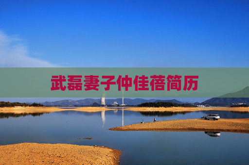 武磊妻子仲佳蓓简历