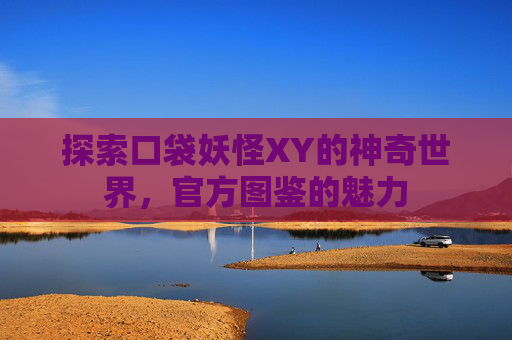 探索口袋妖怪XY的神奇世界，官方图鉴的魅力