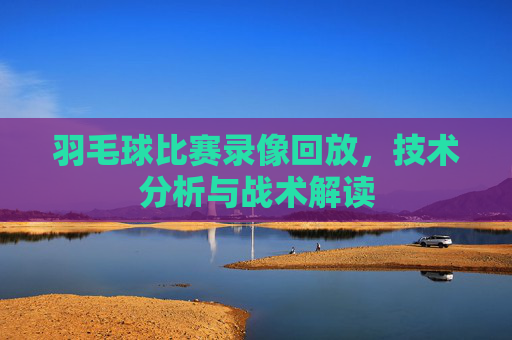 羽毛球比赛录像回放，技术分析与战术解读