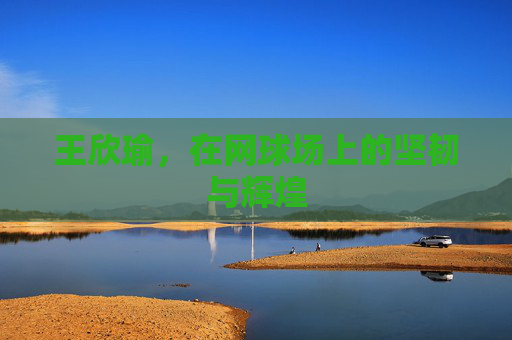 王欣瑜，在网球场上的坚韧与辉煌